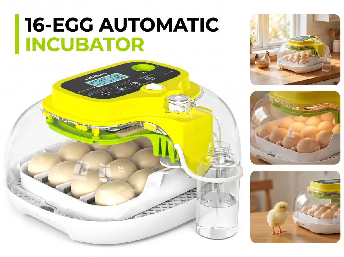 Automatic Egg Incubator 16 Eggs with Auto Turning Temperature Humidity Control LED Candler