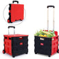 Foldable Trolley