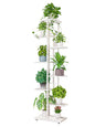 Flower Pot Plant Pot Stand Rack