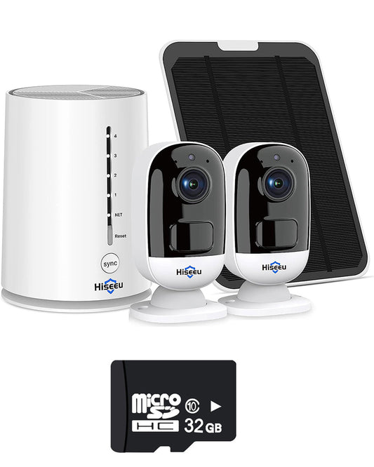 Security camera system