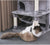 Cat Tree Kitten Activity Furniture – Spacious Cat Tower Play House with Scratching Posts and Hammock