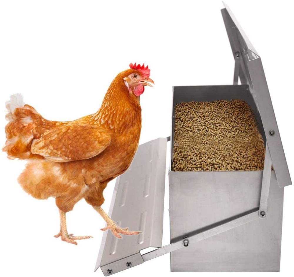 Chicken Feeder, Automatic Chicken Feeder