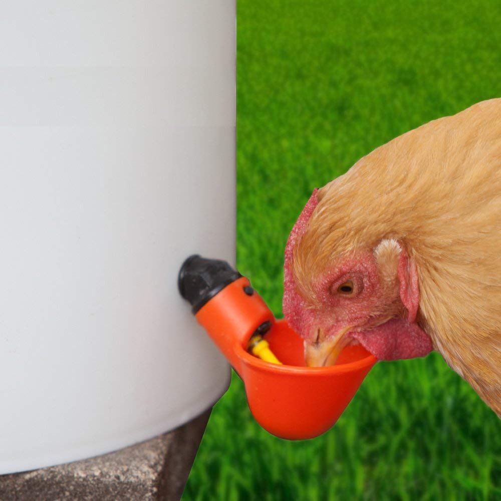 Chicken Drinker - Mini cup drinker + elbow