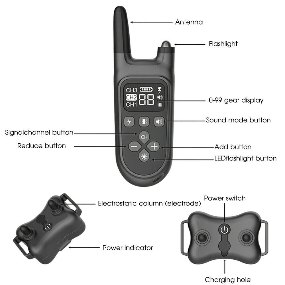 Dog Training Collar, collar for dog