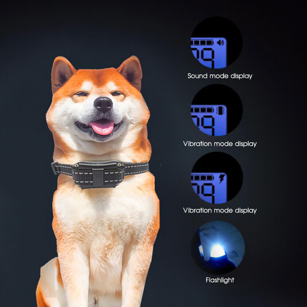 Dog Training Collar, collar for dog