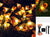 Honeybee Solar Fairy String Lights 30 Led