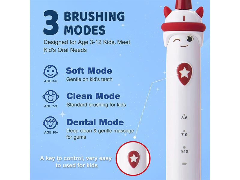 Rechargeable Sonic Toothbrush with Timer