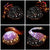 Night Light Projector