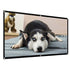 Projector Screen