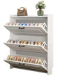 Shoe Cabinet Shoe Organizer Storage