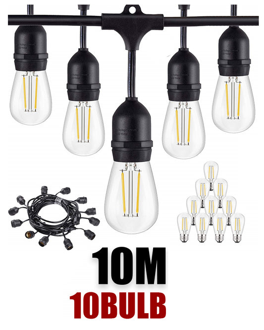 Festoon Lights 10m
