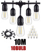 Festoon Lights 10m