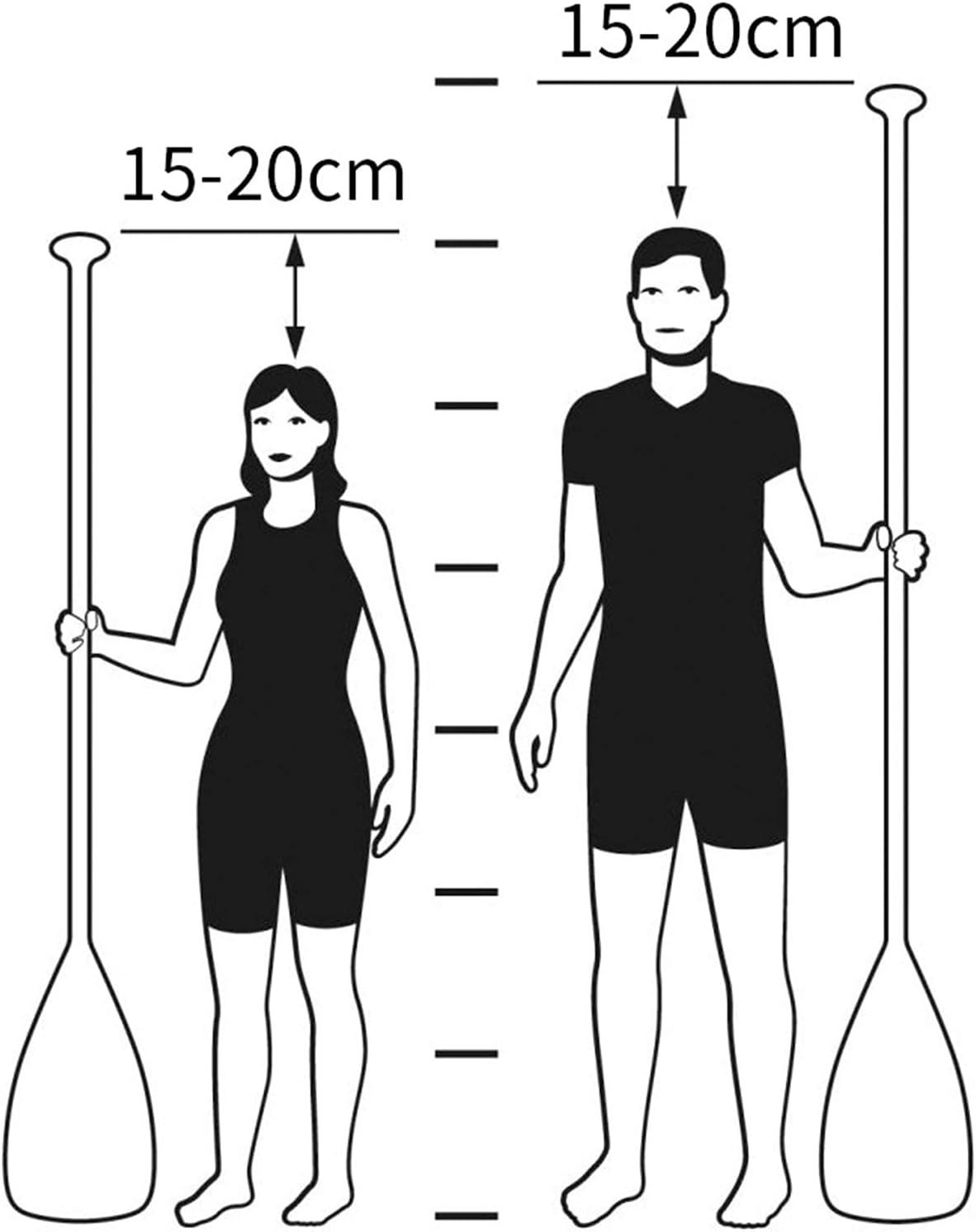 Stand Up Paddle Board