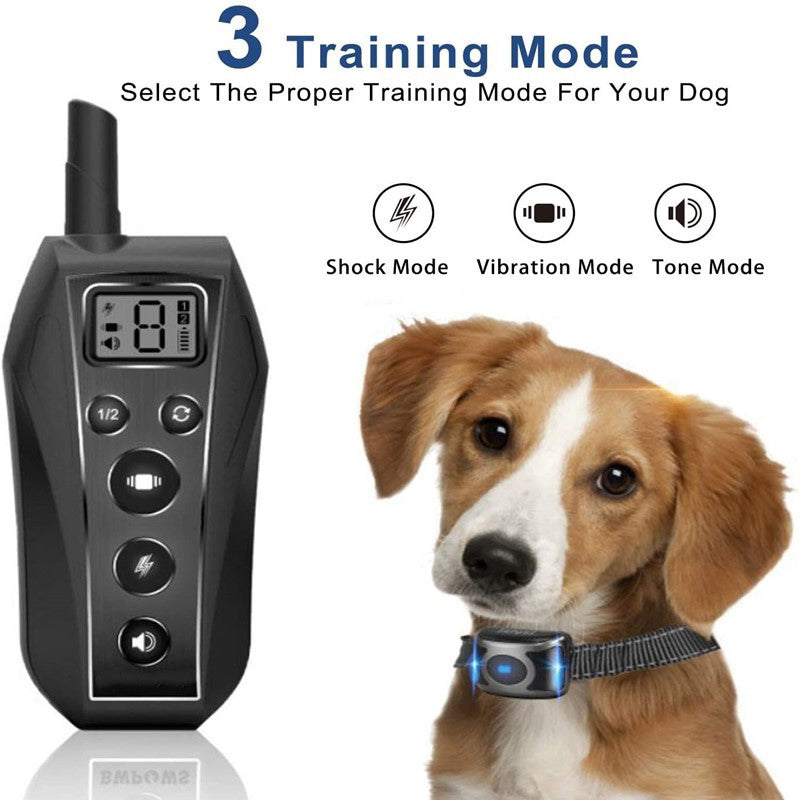 Dog Training Collar