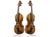 4/4 Full-Size Violin Wood